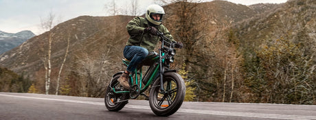 Rower elektryczny w stylu motocykla – ENGWE M20 w Polsce