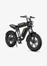 ENGWE M20 Rowery elektryczne 18