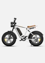 ENGWE M20 Rowery elektryczne 3