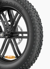 ENGWE L20 Boost Bicicletta Elettrica - ottobest.it