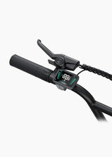 ENGWE L20 Boost Bicicletta Elettrica - ottobest.it