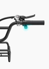 ENGWE L20 Boost Rowery elektryczne z przyciskiem Boost do natychmiastowego zwiększenia mocy