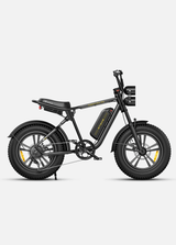 ENGWE M20 Bicicletta Elettrica - ottobest.it