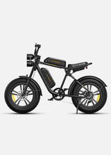 ENGWE M20 Bicicletta Elettrica - ottobest.it