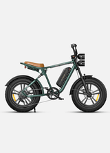 ENGWE M20 Bicicletta Elettrica - ottobest.it