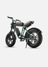 ENGWE M20 Bicicletta Elettrica - ottobest.it
